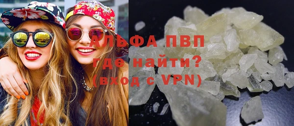 стаф Абинск