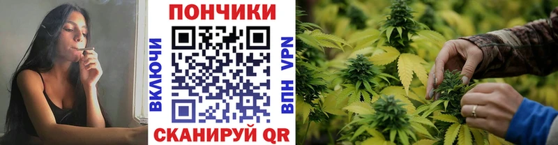 гидра ссылка  Сурск  Бошки марихуана марихуана 